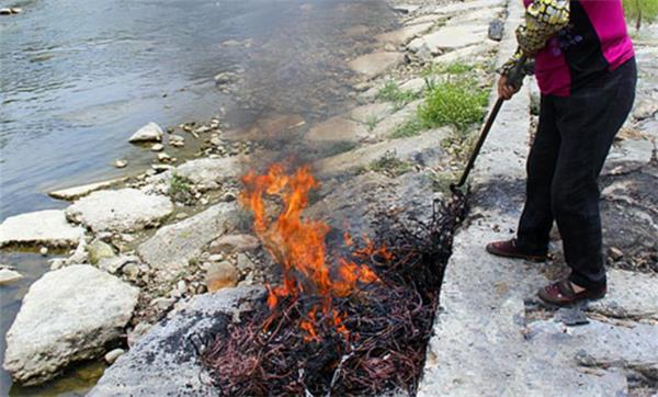 美高梅集团4688am电缆快讯|不懂法真恐怖，，，，，，露天烧电线=摊上大事