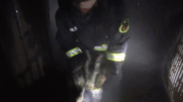 美高梅集团4688am(唯一)有限公司官网