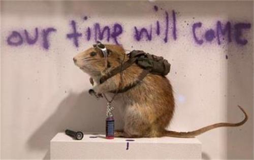 美高梅集团4688am(唯一)有限公司官网